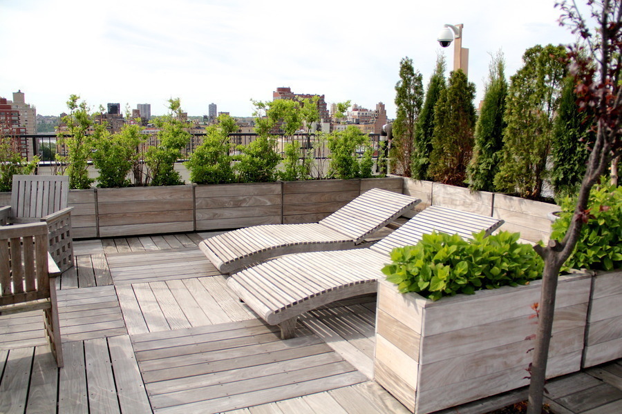 The Galaxy 51 W 81st St, Manhattan, NY 10024 - Photo 4 of 6