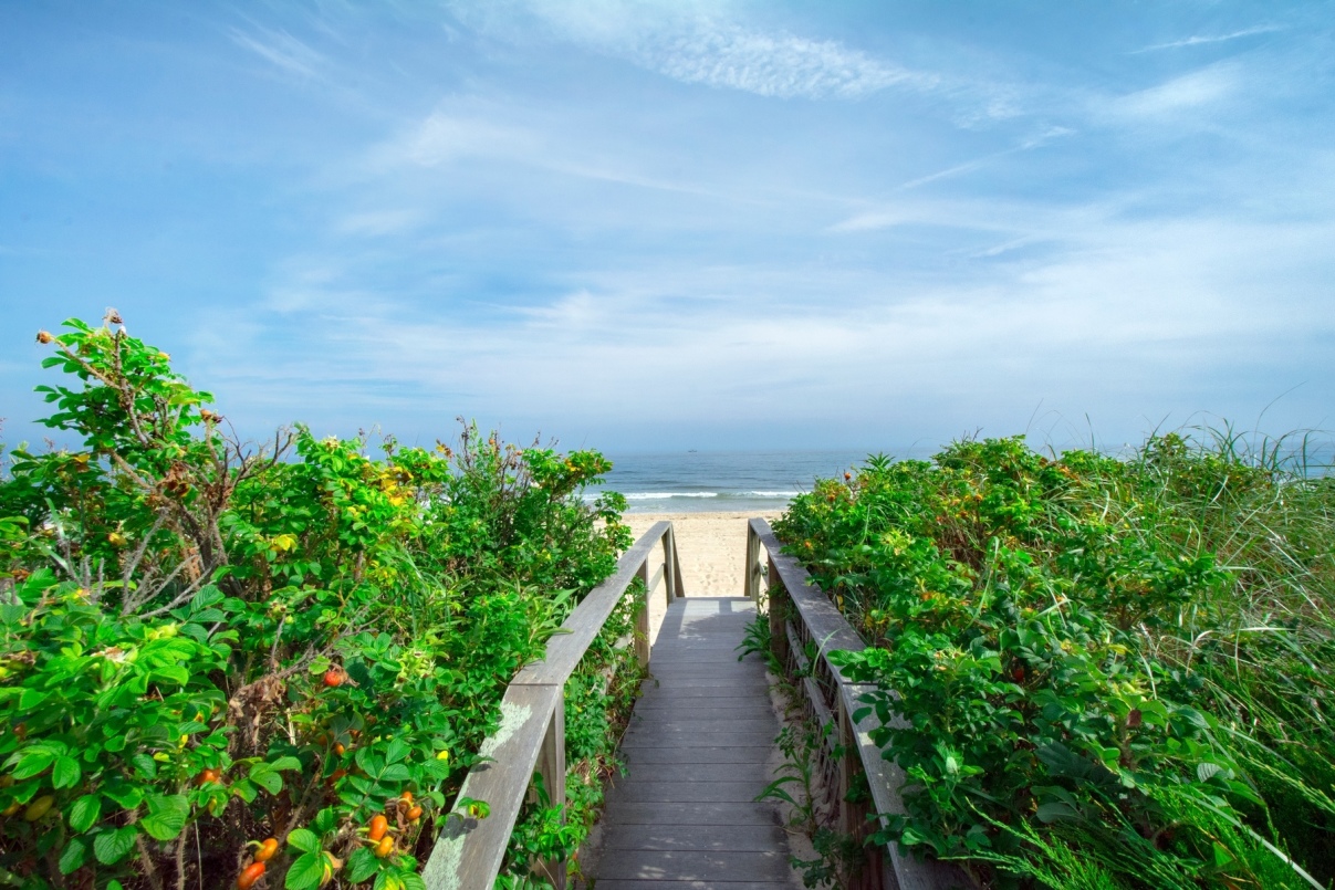 40 Association Road Wainscott, NY 11975 - Photo 8 of 22