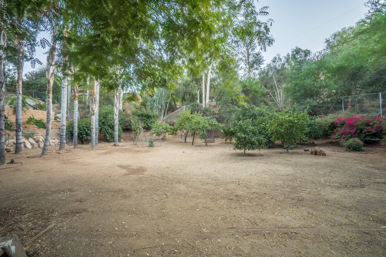 11862 Hi Ridge Road Lakeside, CA 92040 - Photo 25 of 25 This flat yard area is separately gated perfect for animals (horses?). This area also has fruit trees including a mature avocado tree. A chicken coop, not pictured, is also in this yard area.