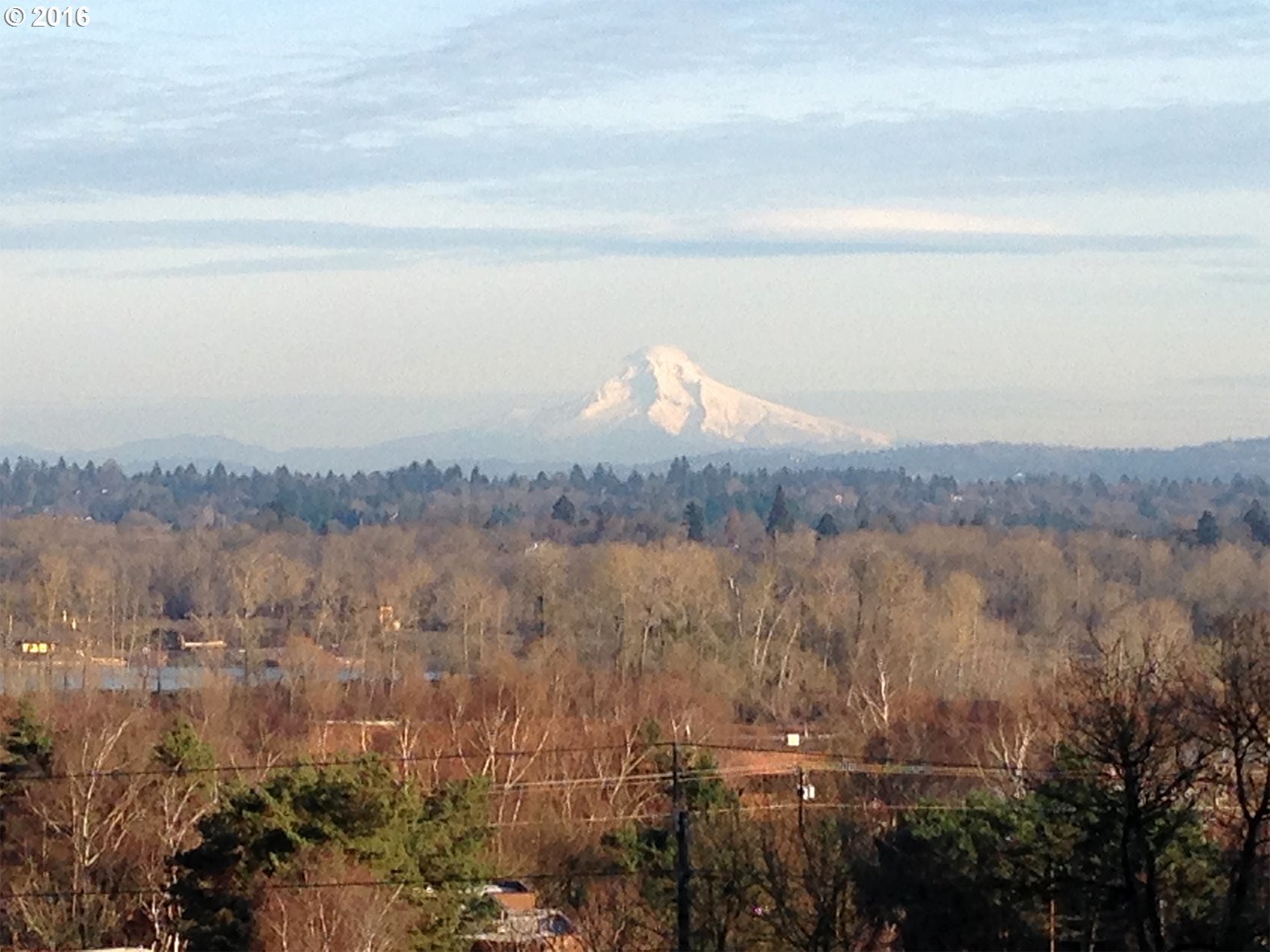 5417 Southwest View Point Terrace Portland, OR 97239 - Photo 26 of 32