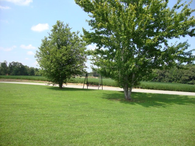 300 Spears Road Henderson, TN 38340 - Photo 3 of 19
