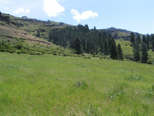 59903 Freezeout Road Imnaha, OR 97842 - Photo 15 of 16 Gallery Image 15