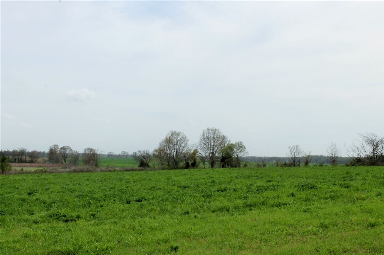 100 Scrub Oak Road Mason, TN 38049 - Photo 22 of 25 Gallery Image 22