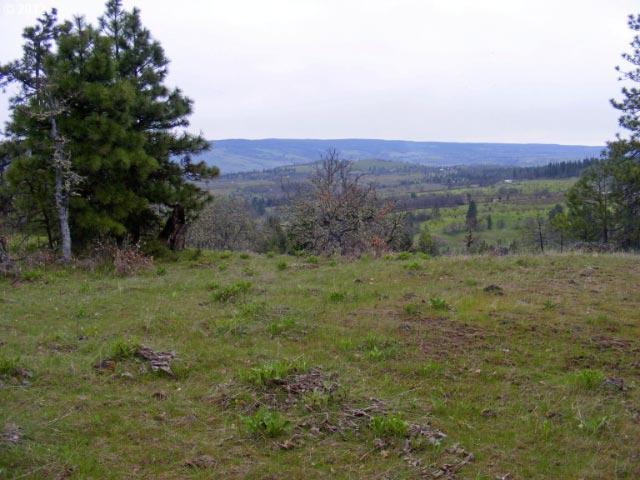 Carroll Road Mosier, OR 97040 - Photo 8 of 16 Gallery Image 8