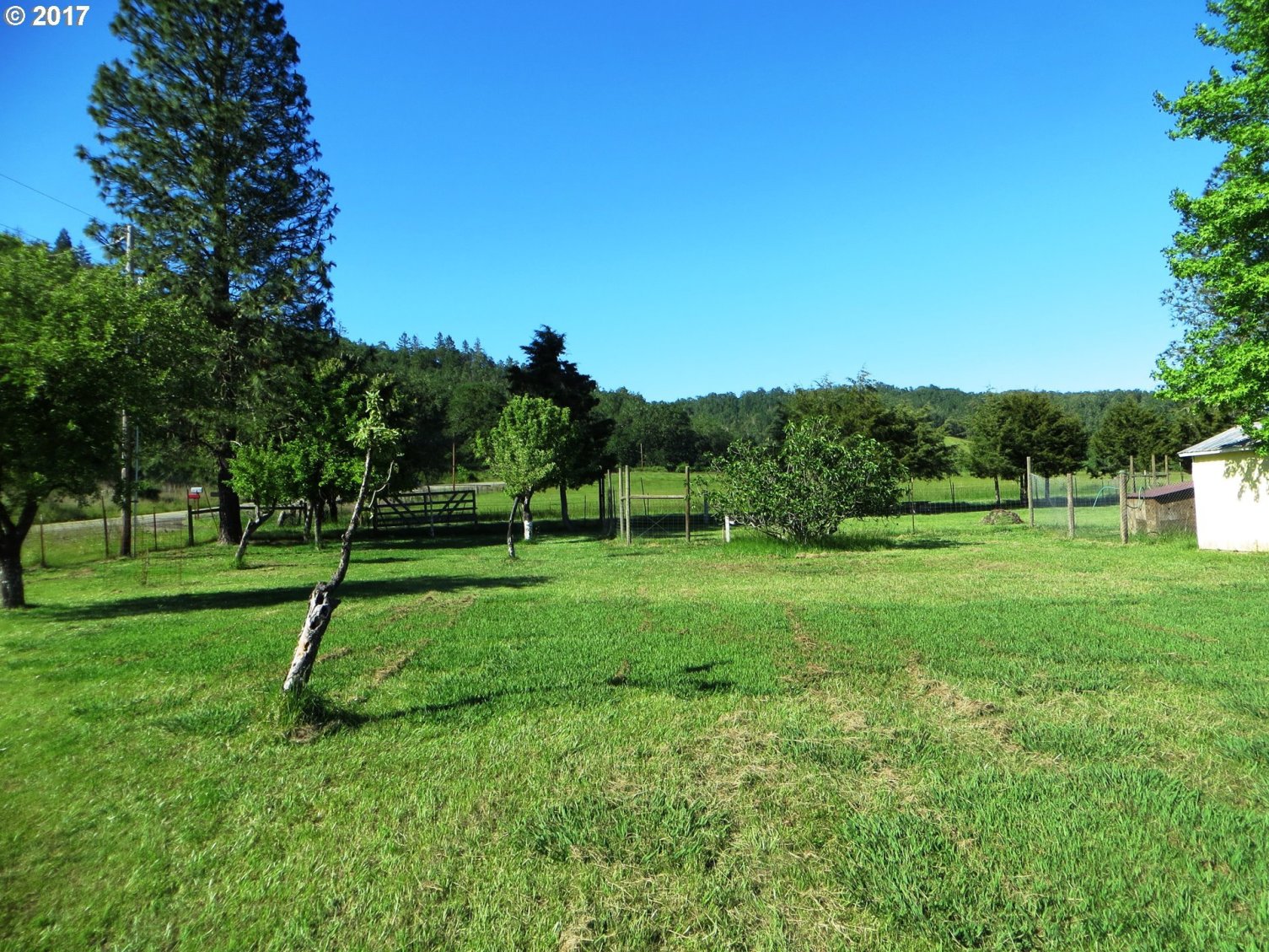 1344 Wilcox Road Oakland, OR 97462 - Photo 24 of 32 Gallery Image 24