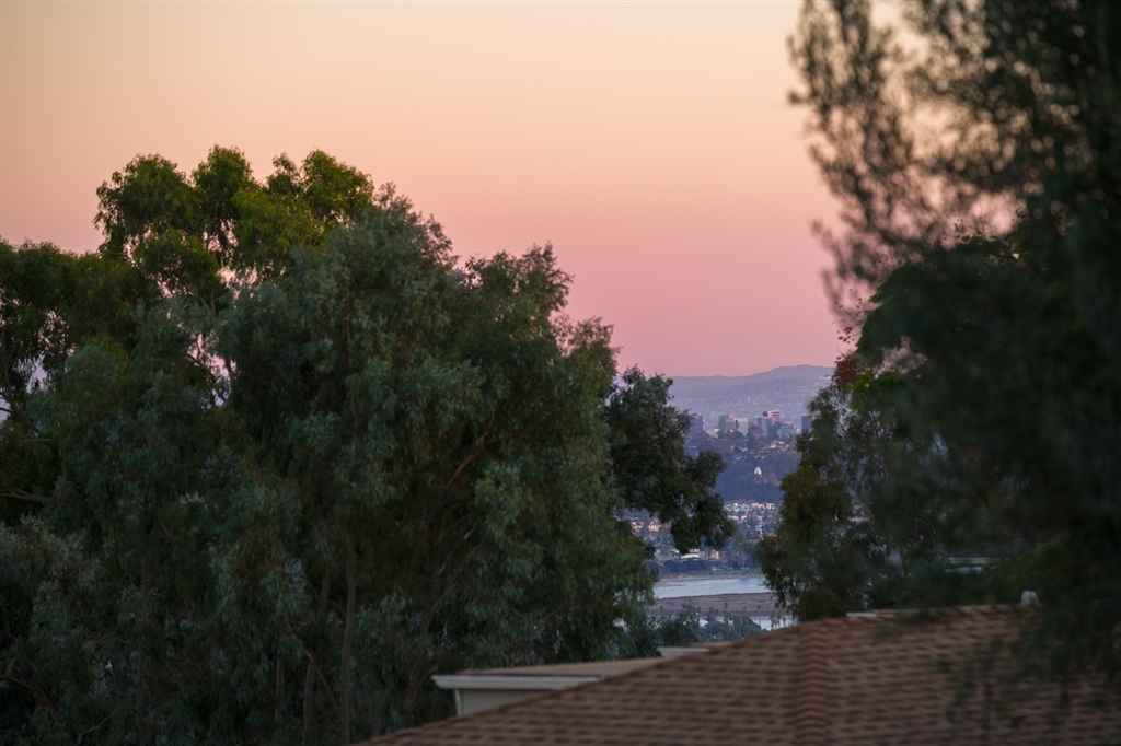 5747 Soledad Road La Jolla, CA 92037 - Photo 14 of 25 Peak Bay and Downtown Views