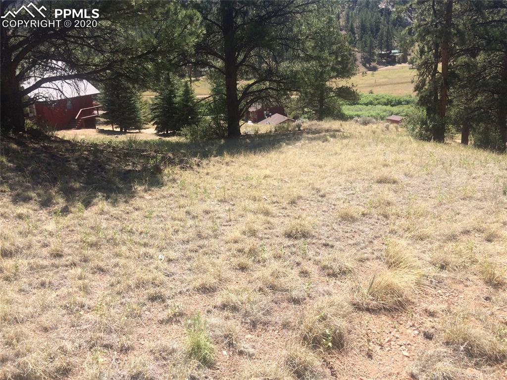 159 East Platte Road Lake George, CO 80827 - Photo 4 of 9