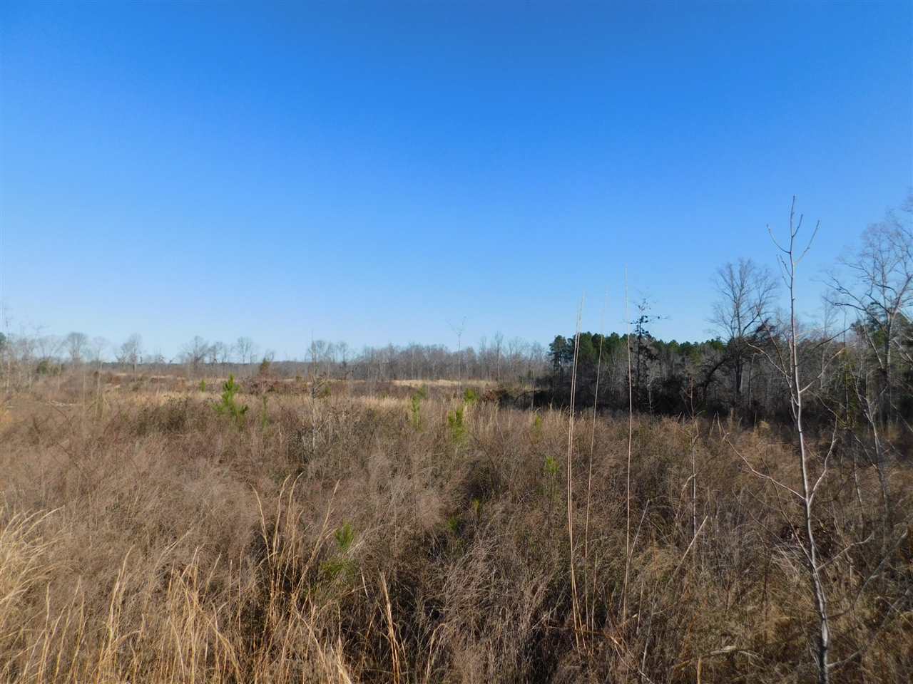 1 Hamburg Road Michie, TN 38357 - Photo 6 of 11 Gallery Image 6