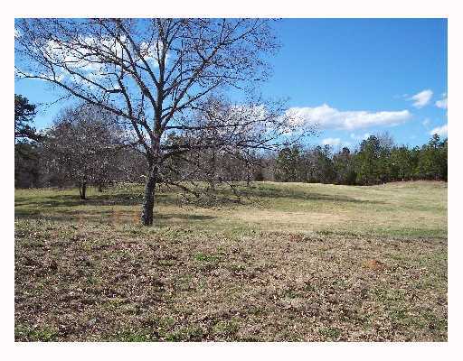 15370 Sain Road Middleton, TN 38052 - Photo 1 of 6 Beautiful rolling Pasture with treed areas and spring fed ponds!!