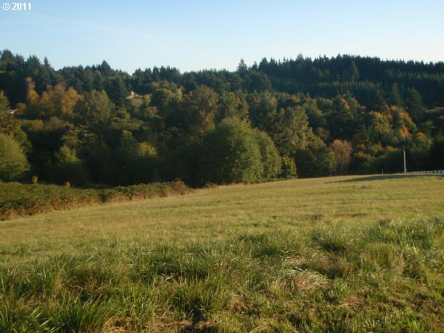 126 Varsity Road Kalama, WA 98625 - Photo 4 of 14 Gallery Image 4