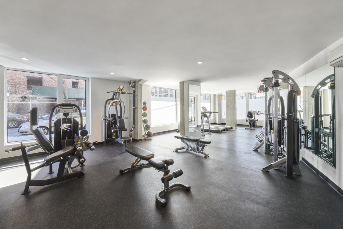 Hello New York 651 New York Ave, Brooklyn, NY 11203 - Photo 4 of 6