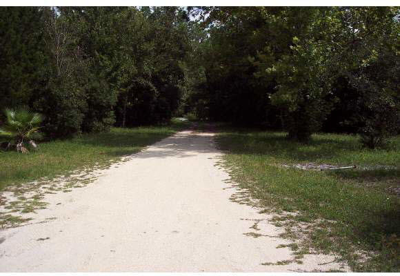 2303 Pellicer Road St. Augustine, FL 32092 - Photo 1 of 12 Gallery Image 1