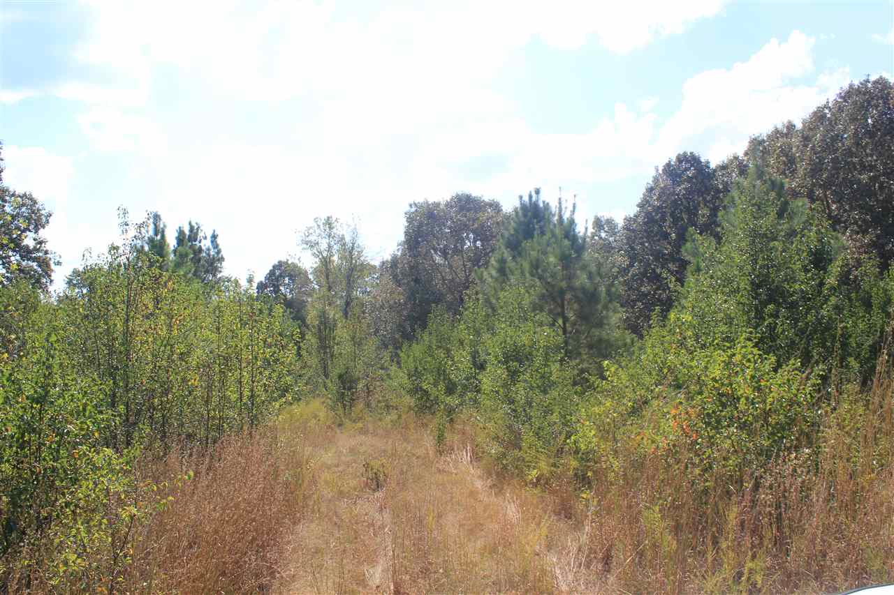 0 Whipporwhill Road Byhalia, MS 38611 - Photo 9 of 21 Gallery Image 9