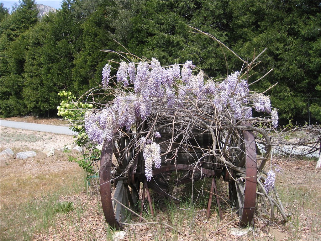 39804 Pine Bench Road Oak Glen, CA 92399 - Photo 21 of 26