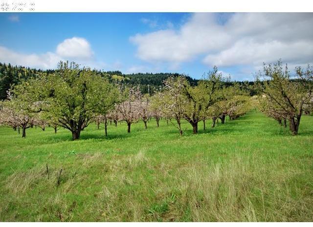 257 Snowden Road White Salmon, WA 98672 - Photo 15 of 15