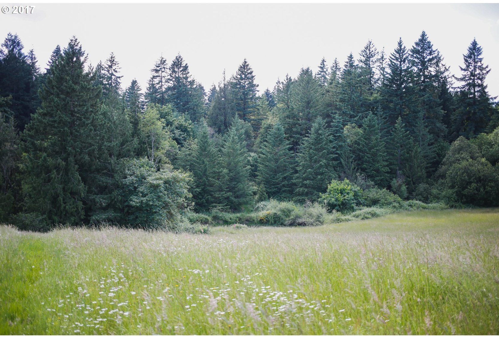 25091 South Central Point Road Canby, OR 97013 - Photo 3 of 18