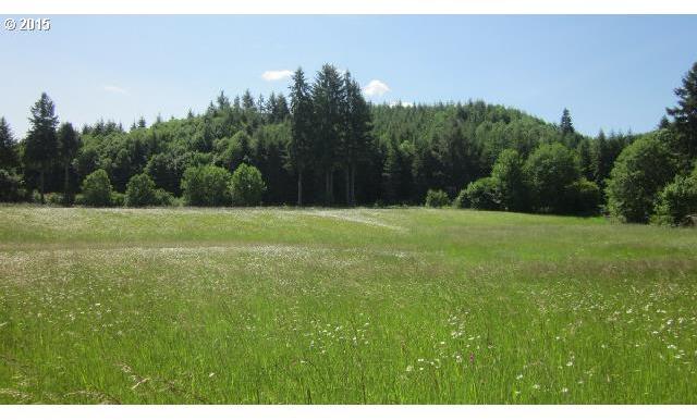 504 State Route Vader, WA 98593 - Photo 16 of 16