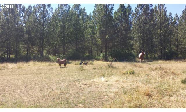 3470 North Myrtle Road Myrtle Creek, OR 97457 - Photo 16 of 16