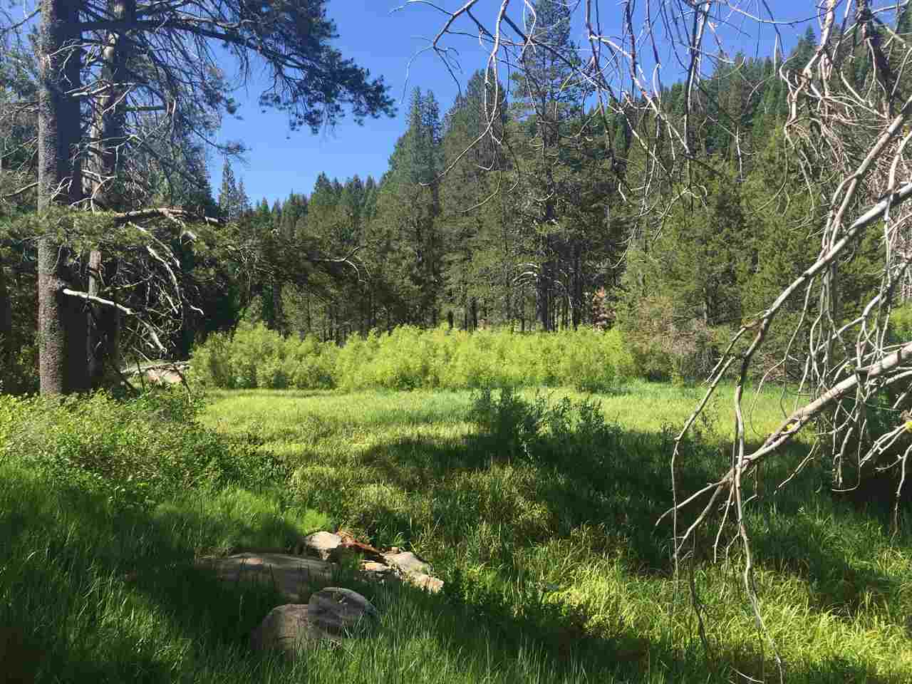 6900 River Road Truckee, CA 96161 - Photo 12 of 17