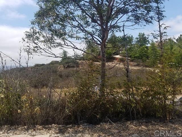 D72 El Paso Alto Vista, CA 92084 - Photo 17 of 20