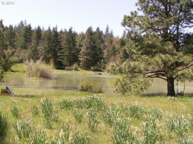 2826 Godberson Road Mosier, OR 97040 - Photo 8 of 16 Gallery Image 8
