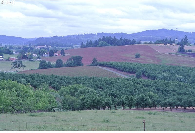 11570 Southwest Hardebeck Road Gaston, OR 97119 - Photo 28 of 30