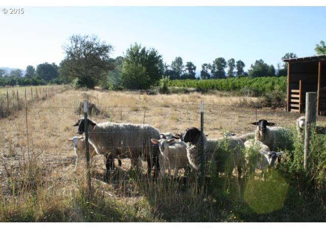 1806 Curry Road Roseburg, OR 97471 - Photo 11 of 15 Gallery Image 11