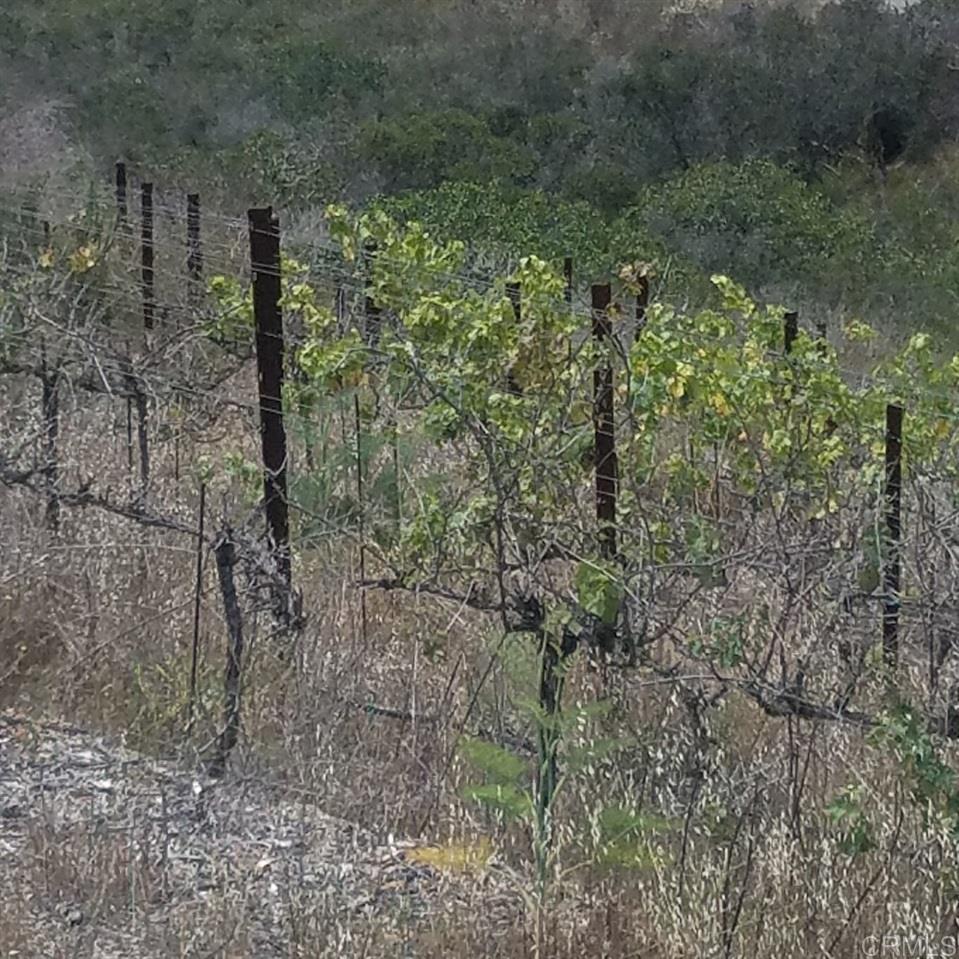 D72 El Paso Alto Vista, CA 92084 - Photo 15 of 20