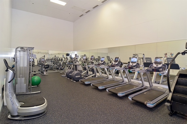 161 E Chicago Ave, Chicago, IL 60611 - Photo 3 of 15