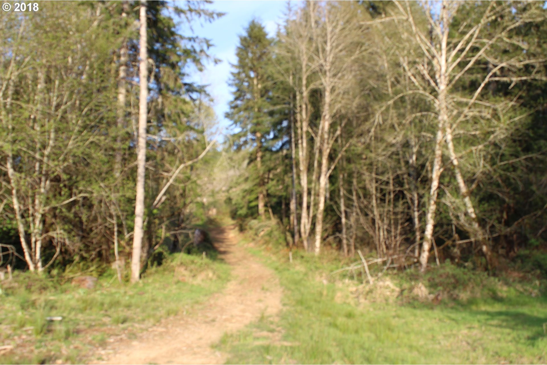 Elochoman Valley Cathlamet, WA 98612 - Photo 17 of 26