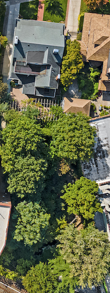 85 Buckingham Road Brooklyn, NY 11226 - Photo 30 of 33