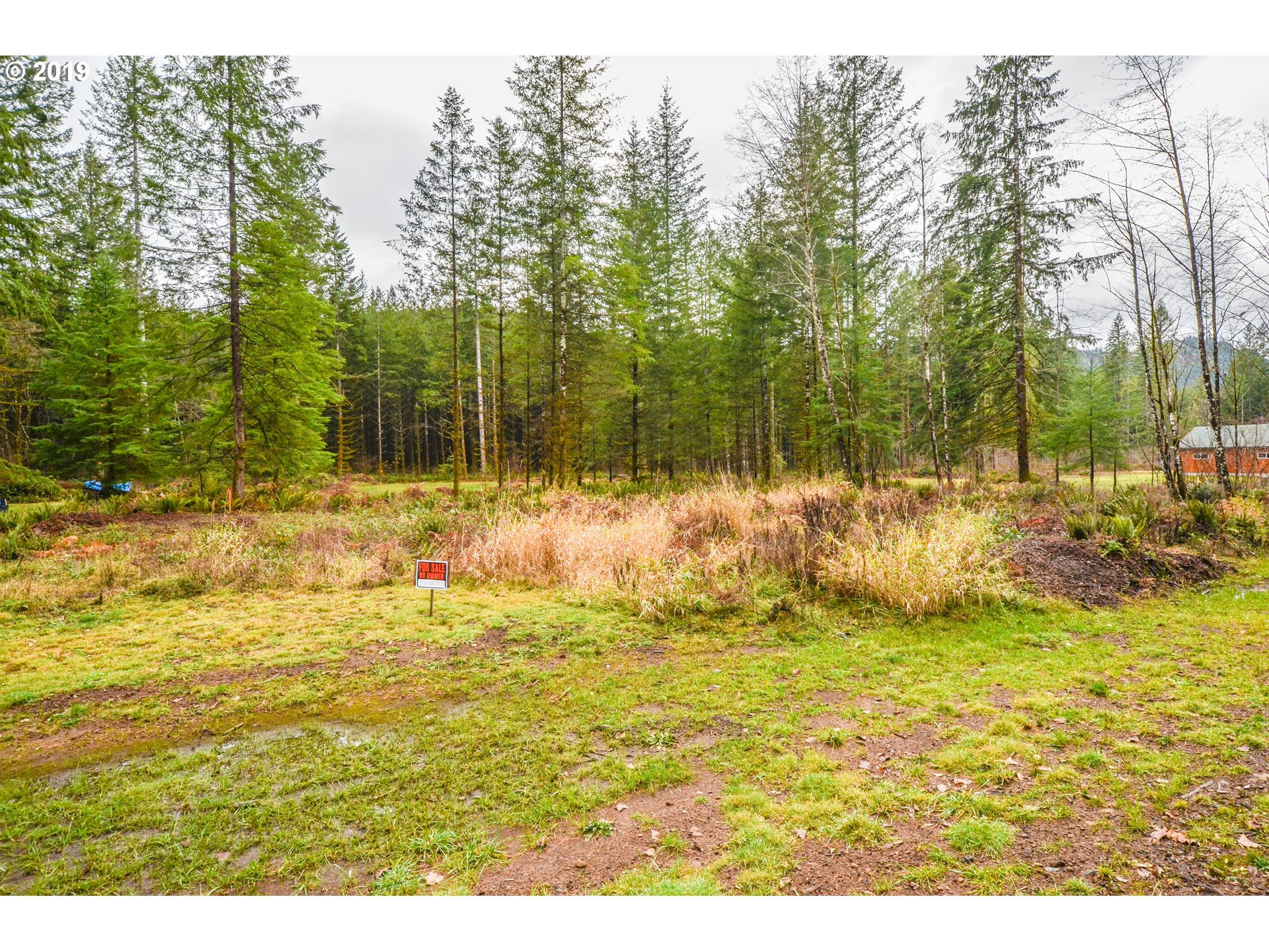 170 Bigfoot Road Ariel, WA 98603 - Photo 4 of 13 Gallery Image 4