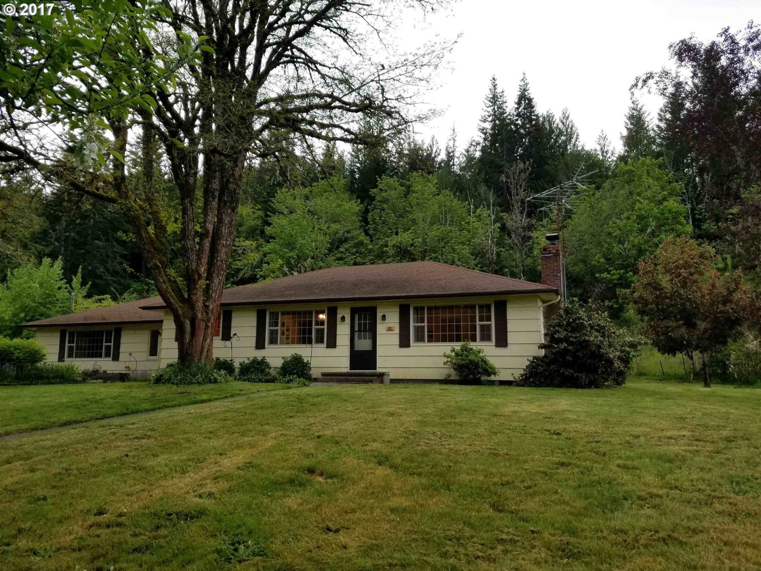 893 Skelly Road Yoncalla, OR 97499 - Photo 1 of 28 Gallery Image 1