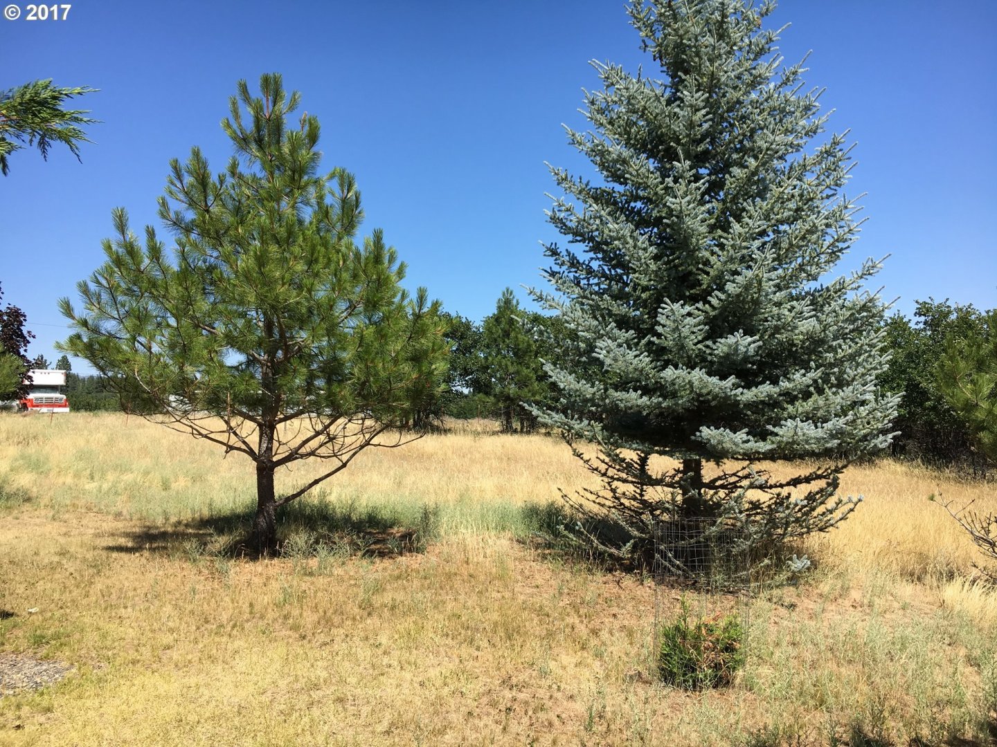 6 Old Cabin Road Goldendale, WA 98620 - Photo 14 of 21 Gallery Image 14