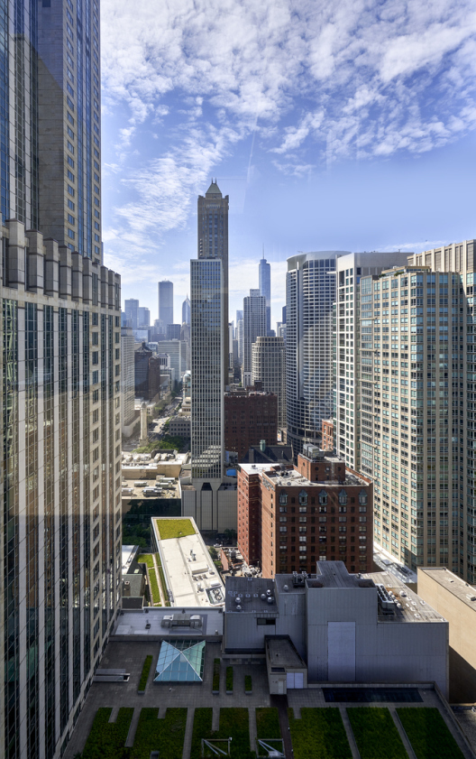 100 E Walton St, Chicago, IL 60611 - Photo 7 of 10