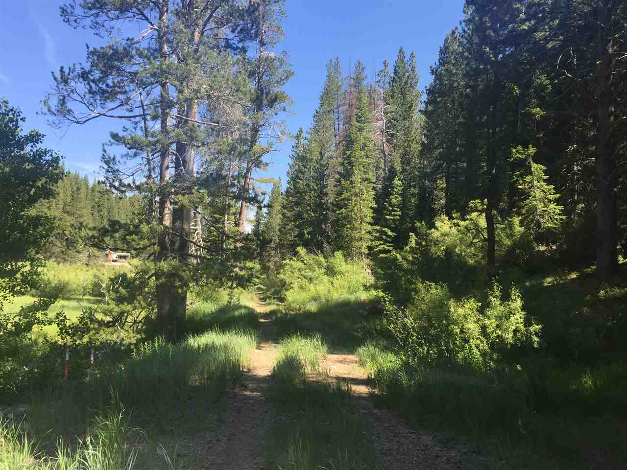 6900 River Road Truckee, CA 96161 - Photo 4 of 17