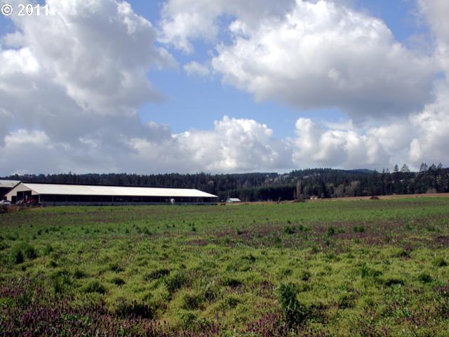 31181 Southwest Laurel Road Hillsboro, OR 97123 - Photo 4 of 16