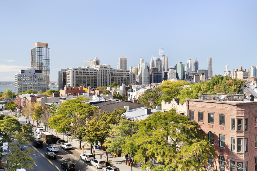 325 Henry Street, Unit PHA Brooklyn, NY 11201 - Photo 10 of 12