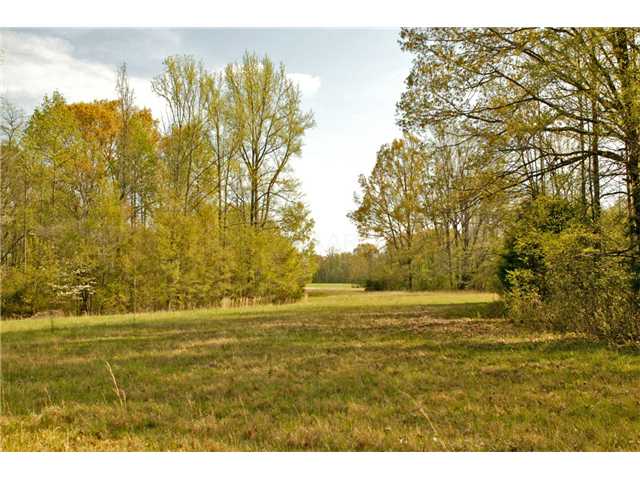 11155 Macedonia Road Arlington, TN 38002 - Photo 11 of 12 61 acres of land
