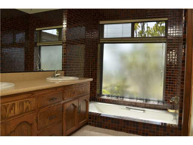 337 Spanish Spur Fallbrook, CA 92028 - Photo 8 of 25 Master Bath