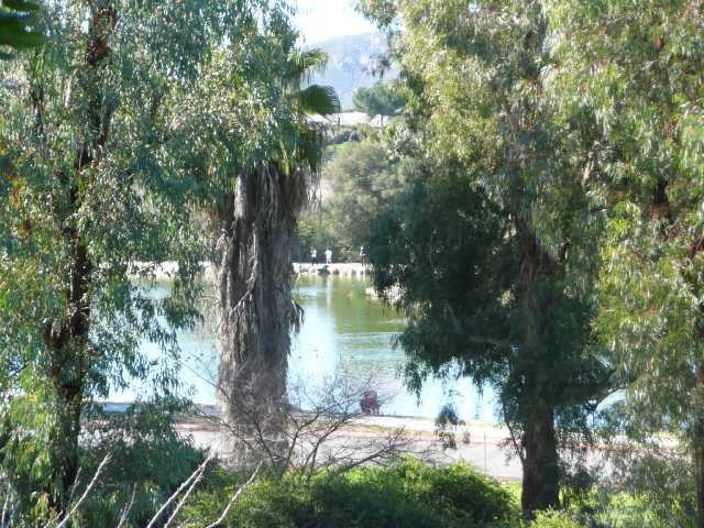 9750 Settle Road Santee, CA 92071 - Photo 2 of 17 View of the lake from the property!