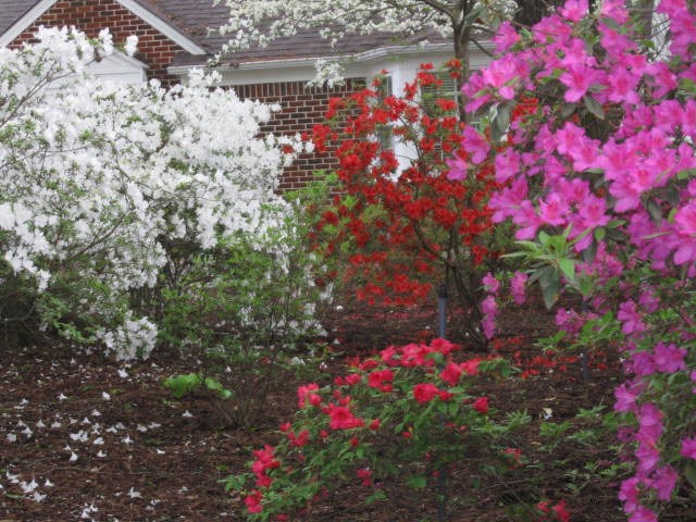 4829 Barfield Road Memphis, TN 38117 - Photo 3 of 25