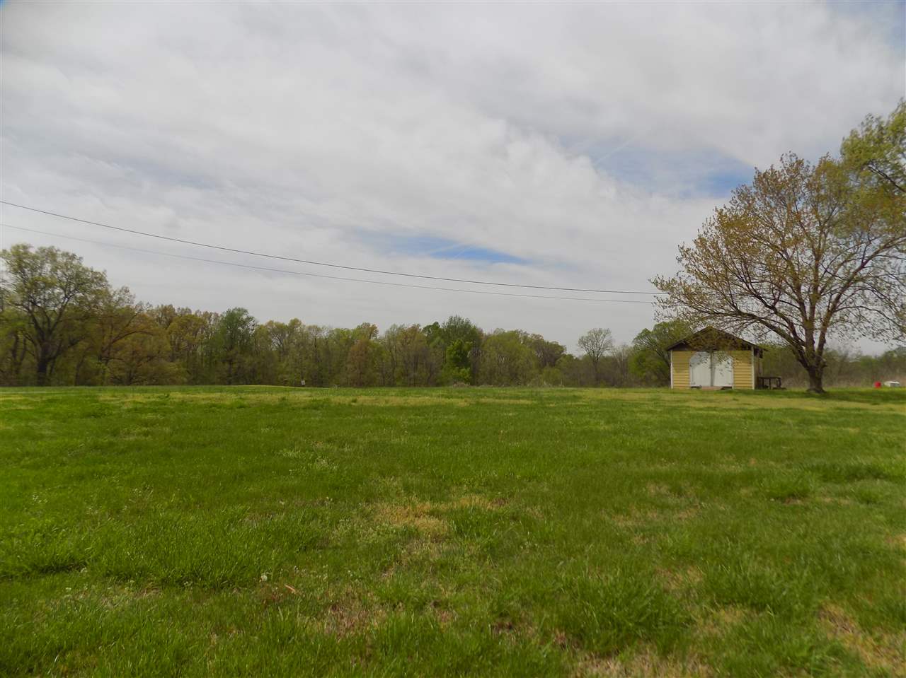 0 Richardson Landing Road Drummonds, TN 38023 - Photo 3 of 9