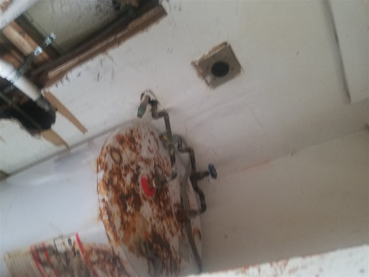 3174 Given Avenue Memphis, TN 38112 - Photo 9 of 25