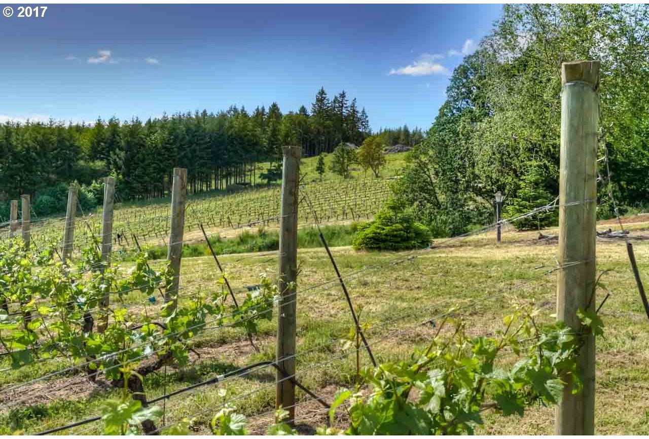3535 Vitae Springs Road South Salem, OR 97302 - Photo 15 of 30