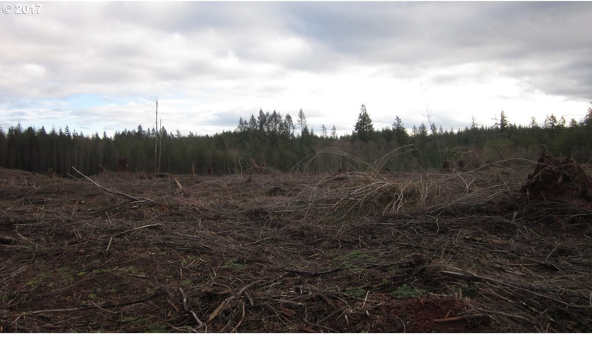 Centralia Alpha Road, Unit 3 Chehalis, WA 98532 - Photo 23 of 25