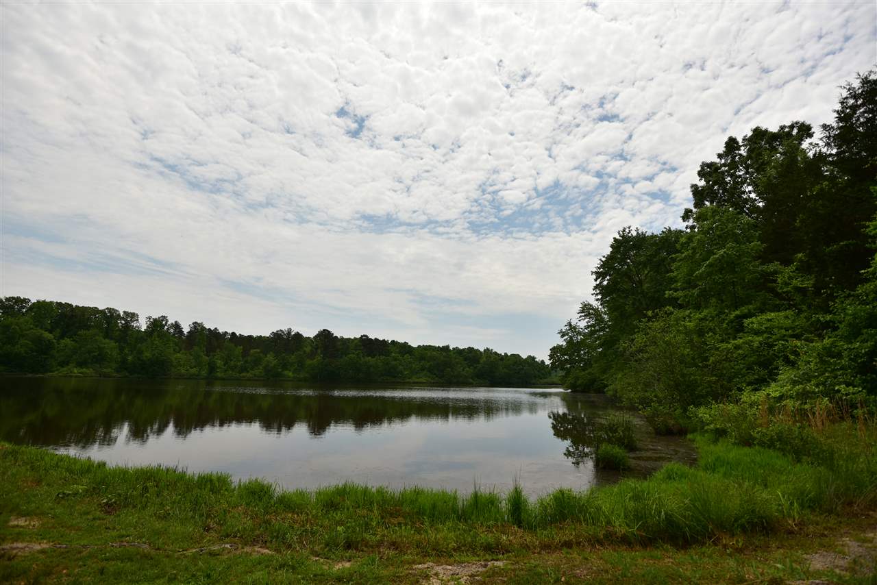 134 Hamilton Road Walnut, MS 38603 - Photo 6 of 18 Gallery Image 6