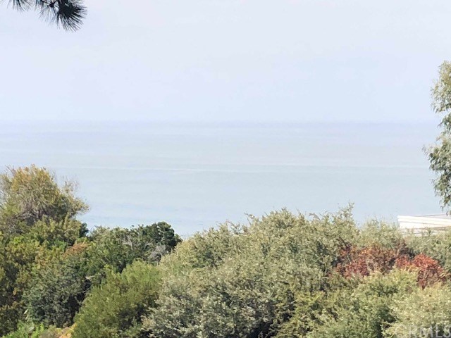 240 Ocean View Avenue Del Mar, CA 92014 - Photo 9 of 14