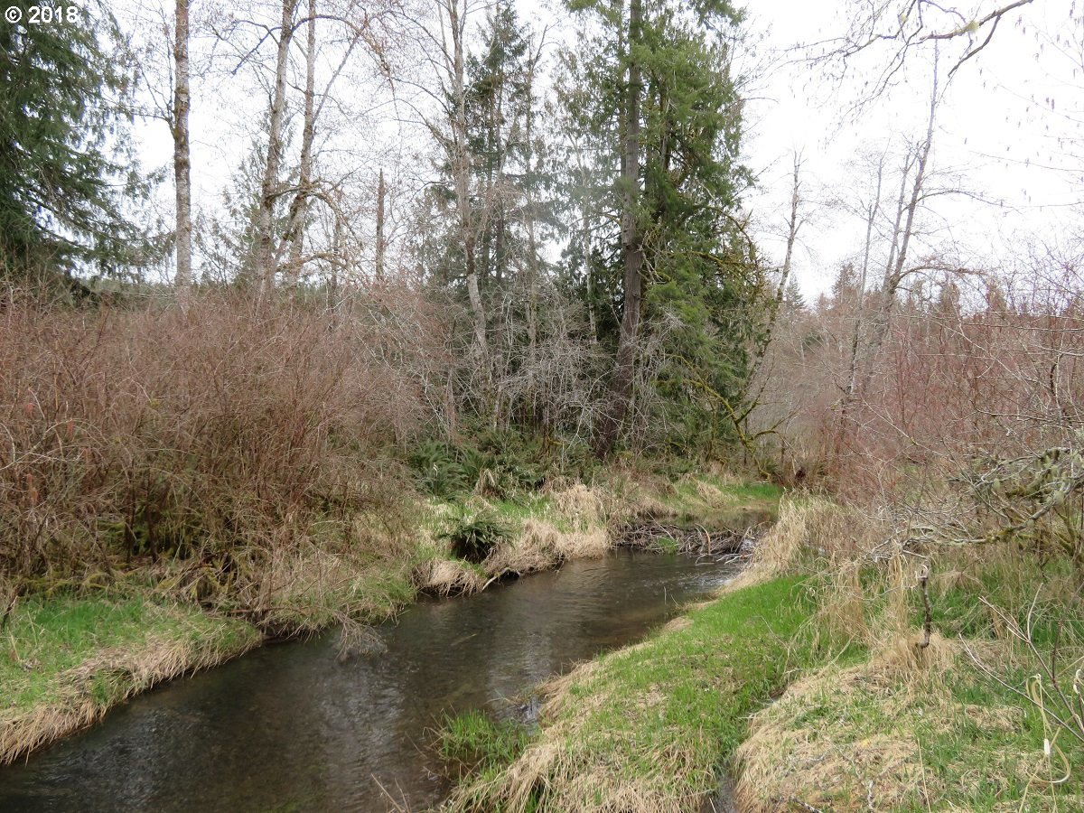 East Mox Chehalis Road McCleary, WA 98557 - Photo 23 of 29 Gallery Image 23