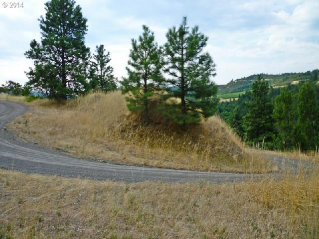 381 State Road The Dalles, OR 97058 - Photo 14 of 16 Gallery Image 14